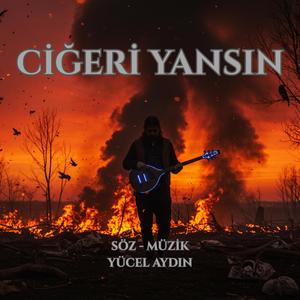 Ciğeri Yansın