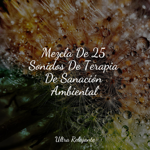 Susurros De Clima Húmedo