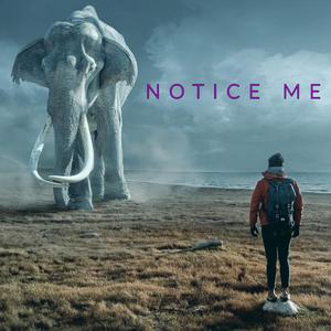 Notice Me