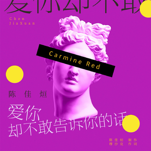 爱你却不敢对你说的话