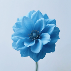 蓝色花