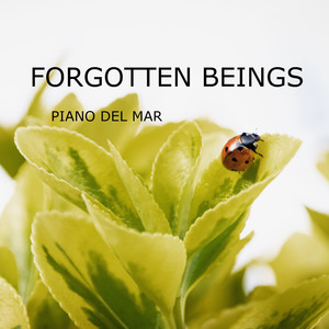 Some Funny Sort of Eye