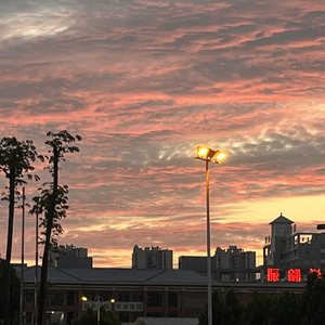 《迷雾森林》
