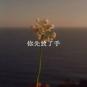 你先放了手