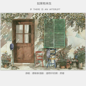 如果有来生（Cover 谭维维）