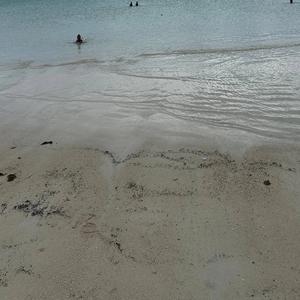 El pez y el ave se enamoraron