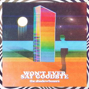 Won't Ever Say Goodbye