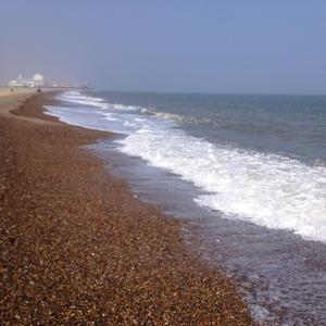 Want wish on my worst enemy