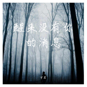 醒来没有你的消息