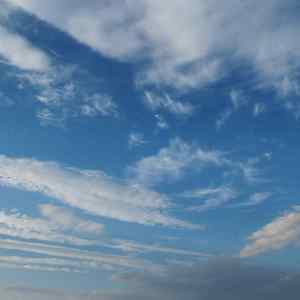 One night, one's mind is at odds with another