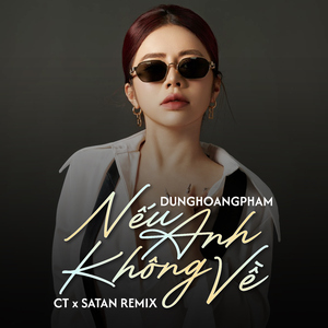 Nếu Anh Không Về