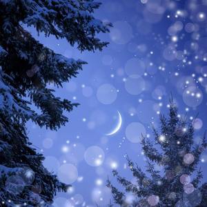 圣诞夜之梦（洛天依版）