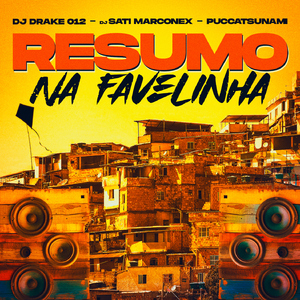 RESUMO NA FAVELINHA