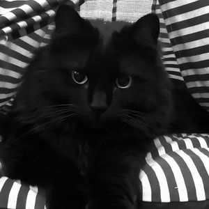 dark beach - Slowed + Reverb