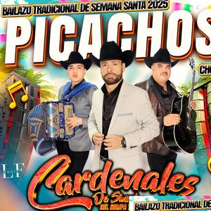 Corazon Duro-Los Cardenales en vivo desde Picachos Choix (En vivo)