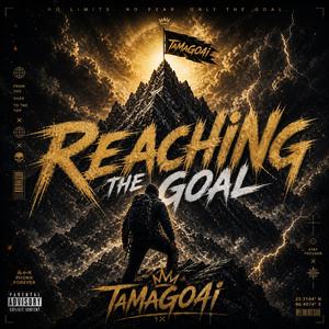 Reaching the Goal