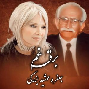 Barghe Gham (feat. Jafar Bozorgi)