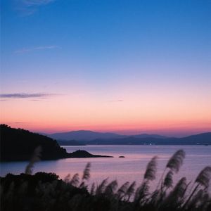 暮色微凉思无尽