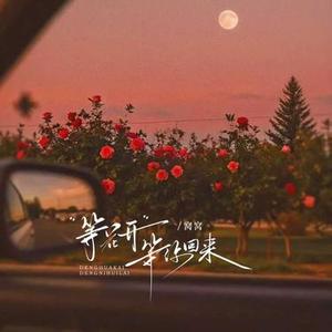 等花开等你回来