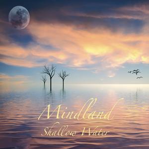 Shallow Water