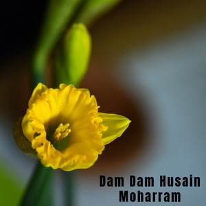 Ali Haidar Faizi new Naat