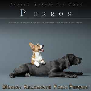 Música para dormir a los perros
