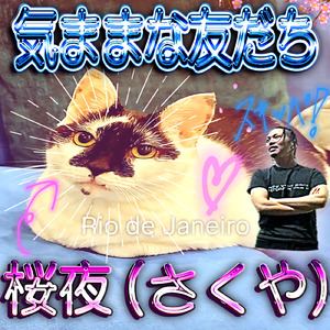 気ままな友だち