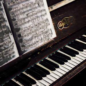 unstinted praise