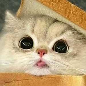 Henry, come on (slowed)