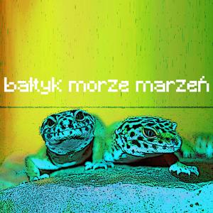 No bez kitu