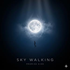 Sky Walking