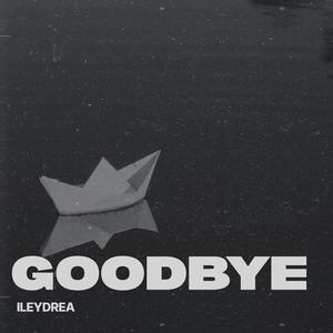 Goodbye