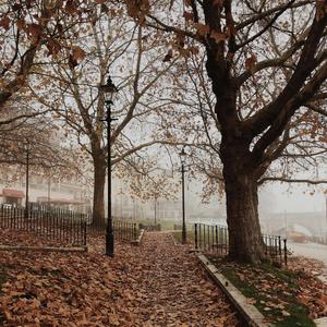 London in Autumn