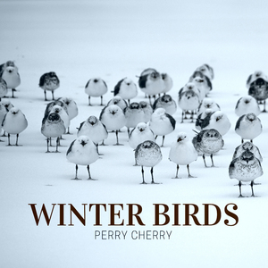 Winter Birds