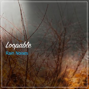 Rain Sound: White Noise