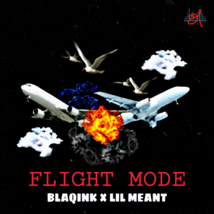 Flight Mode