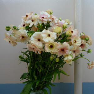 해가 뜰 때까지 (sex after sex)