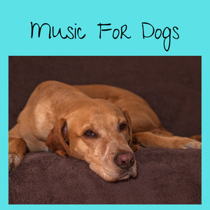 Music For Dogs
