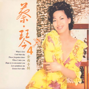 我怎能离开你 (伴奏版)