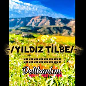 Yıldız Tilbe Delikanlım