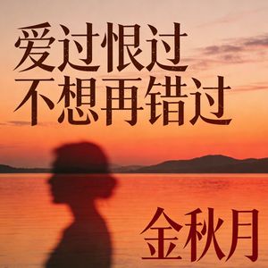 爱过恨过不想再错过(伴奏)