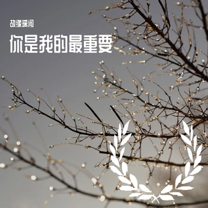 你是我的最重要