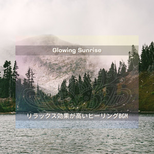 Tranquil Rose Petal Drift