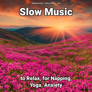 Yoga Music for Dog Barking