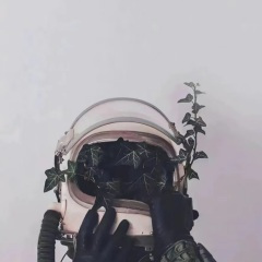 夜空中最亮的星 (纯吉他版)