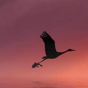 不是不爱这个世界啊 伴奏