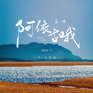 阿依古哦 (DJ九零版)