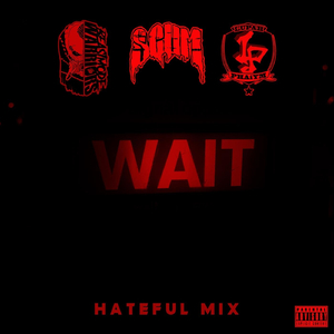 Wait (Hateful Remix)