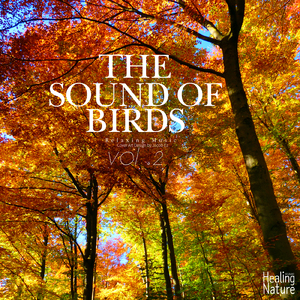 집중력에 도움을 주는 자연의 새소리