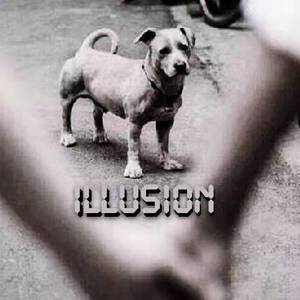 illusion